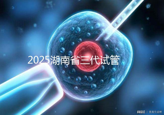 2025湖南省三代試管全部費用明細匯總,備齊這個金額即可