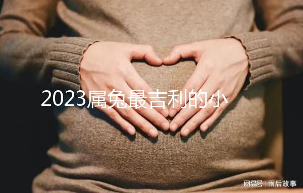 2023屬兔最吉利的小名精選，寓意好又洋氣的字不止涵、蔻