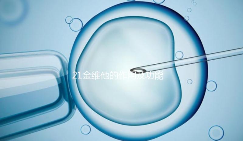 21金維他的作用及功能（男士吃21金維他好處）