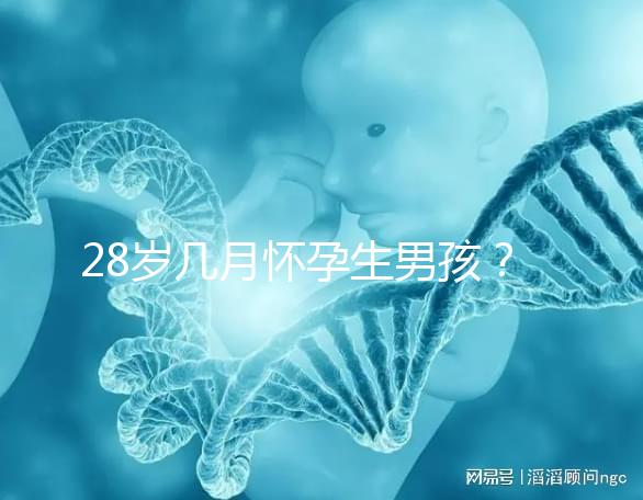 28歲幾月懷孕生男孩？2023年生男孩的月份表看這里